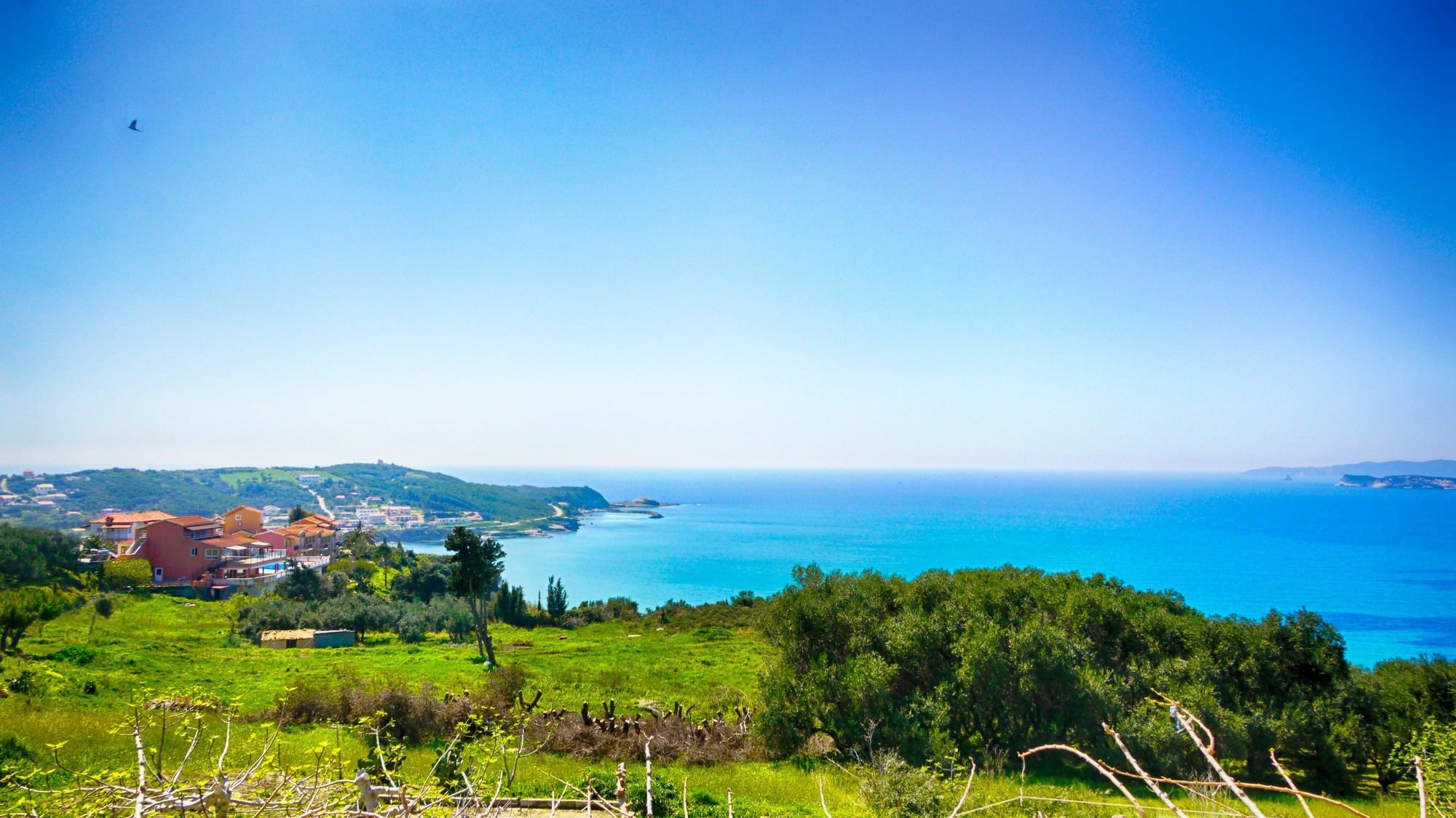 Nikos&Katerina Studios Agios Stefanos Avliotes  Exterior foto